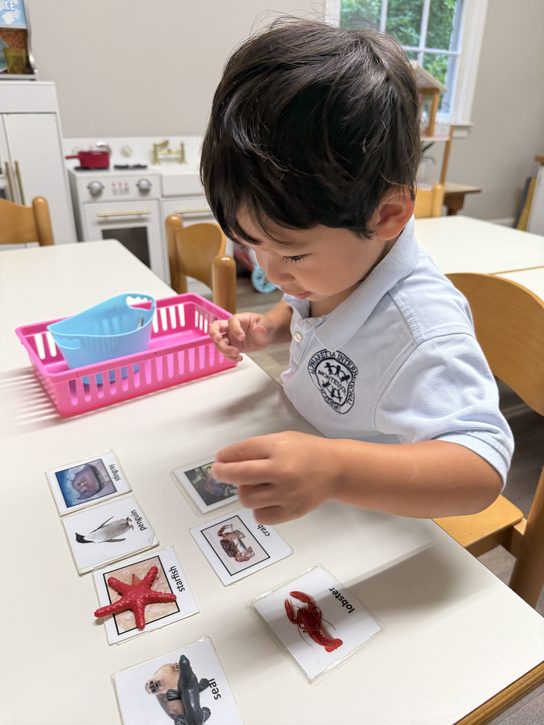 A child matching small ocean animal figures to their picture cards