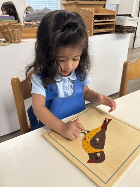 A Pre-Primary student working the Parts of a Bird Puzzle at a table
