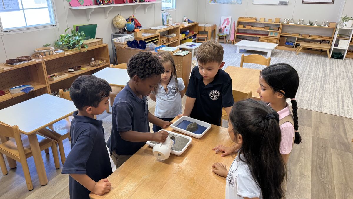 Six Primary students gathered around land and water form trays, one pouring water from a small pitcher
