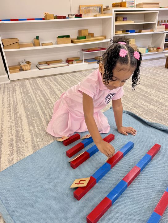 A Primary student kneeling on a work rug placing numeral tiles beside the red and blue Number Rods