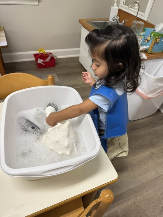 A Pre-Primary student in an apron using a small brush to wash a seashell in a basin of soapy water
