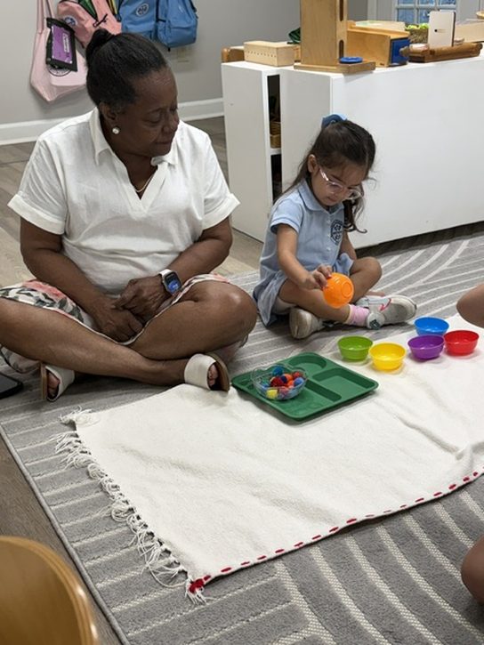 Ms. Cook seated on the rug beside a Pre-Primary student sorting objects by color into bowls