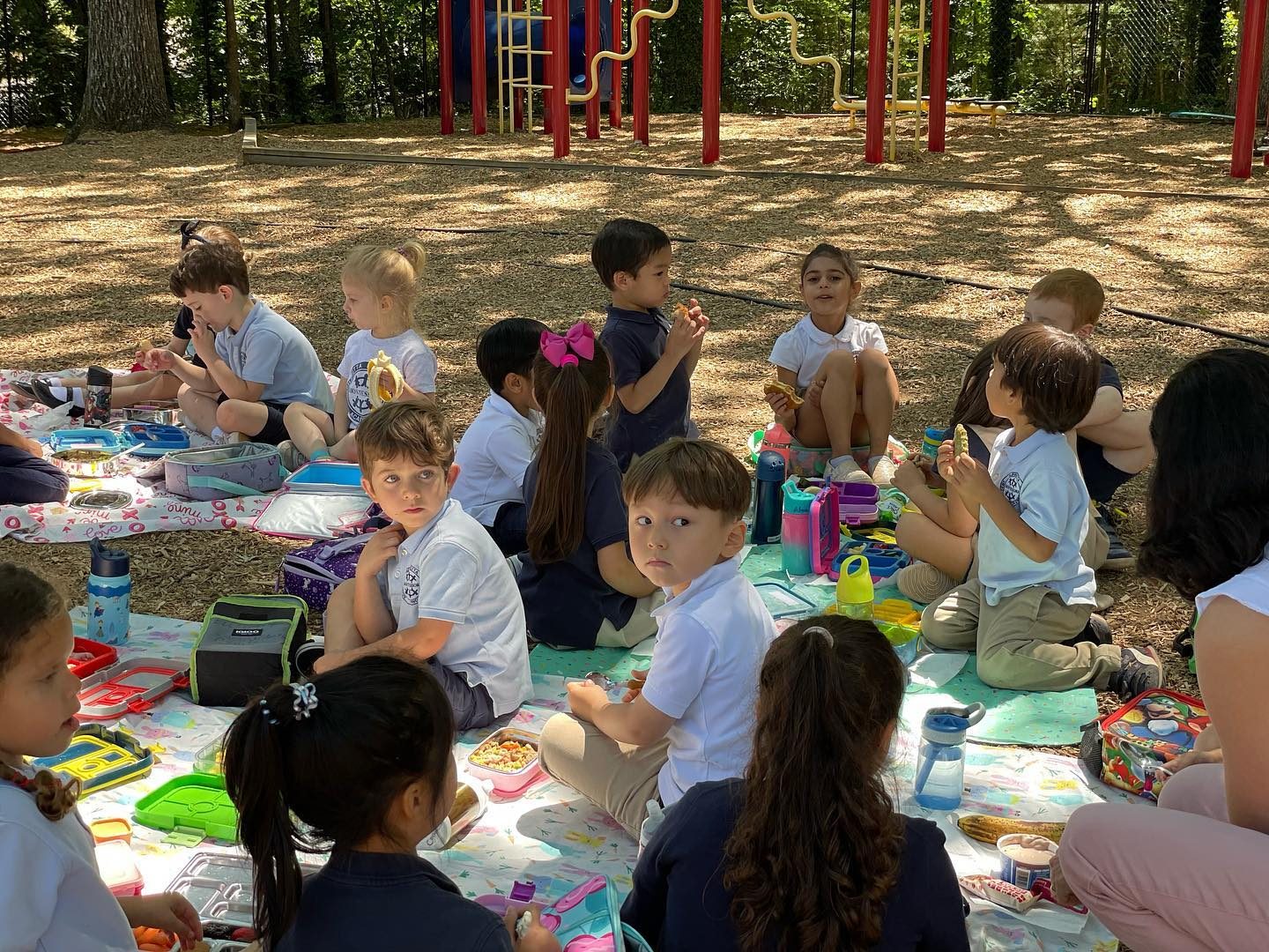 An AIA class eating lunch together on blankets outdoors, with the playground behind them