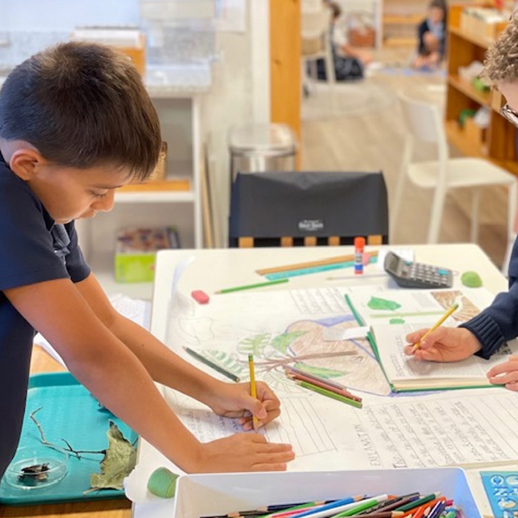 Two Elementary students working together on a botany research project