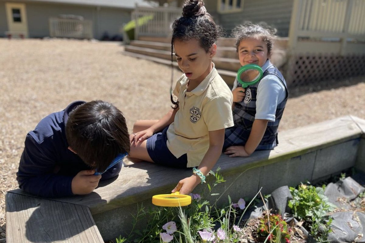 Three AIA Elementary students examining plants in the campus garden with magnifying glasses