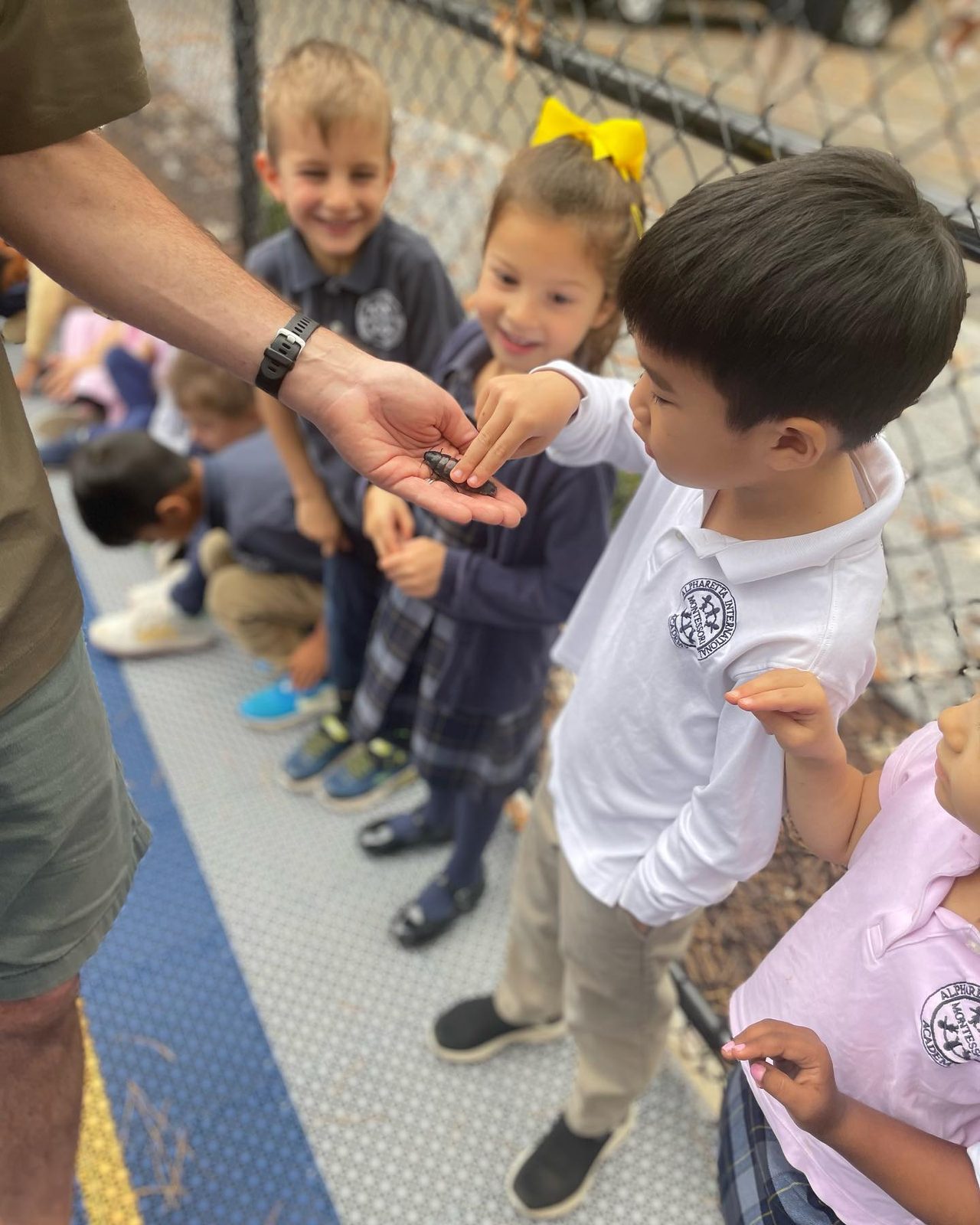 AIA students gathered around examining an insect held out on an adult's hand, curious and delighted